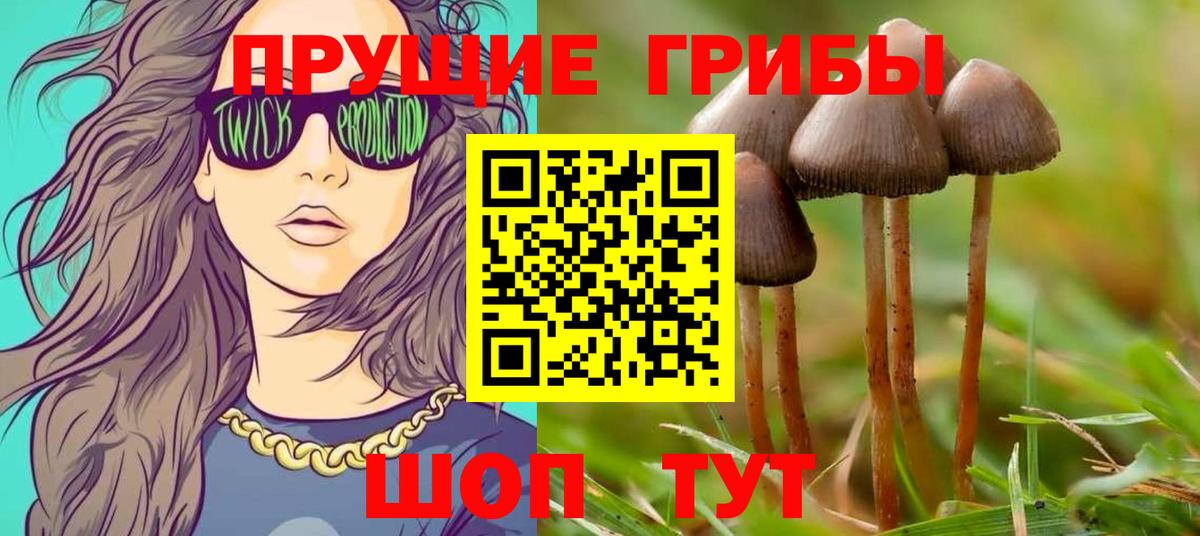 Псилоцибиновые грибы MAGIC MUSHROOMS Сызрань