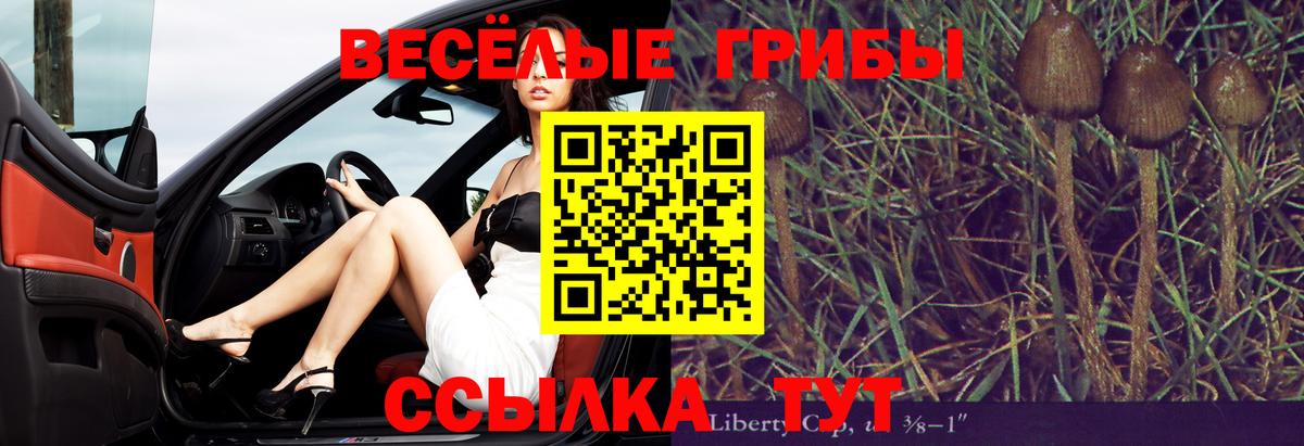 Сызрань  Псилоцибиновые грибы Psilocybine cubensis  Вход с VPN 